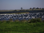 2006-09-15-poel-urlaub-nicolle-christian-33