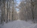 2010-12-18-14-07h-hh-skila-dezember-2010-002-dimage-xt