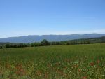 2012-05-23-13-24h-frankreich-provence-hochzeitsreise-179