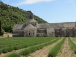 2012-05-24-16-46h-frankreich-provence-hochzeitsreise-273