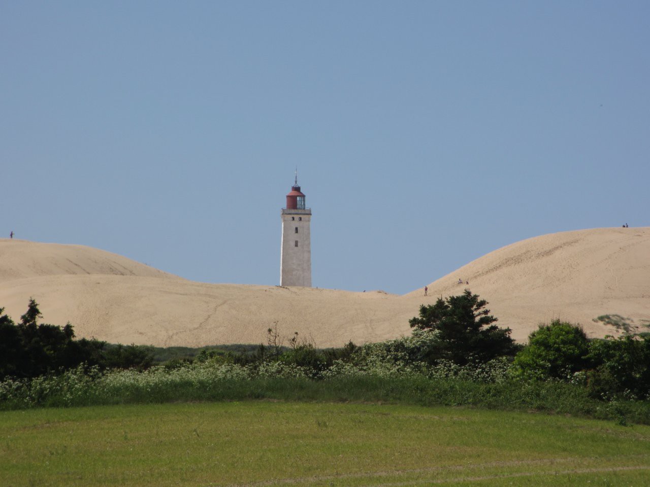 Rubjerg Knude, Die Wanderdüne verschlingt den Leuchtturm. In etwa 20 Jahren wird er ins Meer stürzen