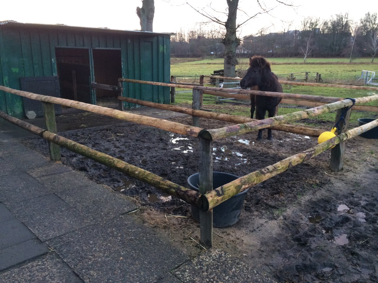 2013-12-28-15-55h-norderstedt-skila-016
