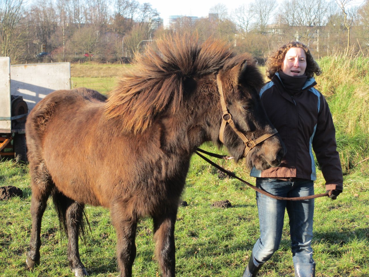 2013-12-30-14-42h-norderstedt-skila-025