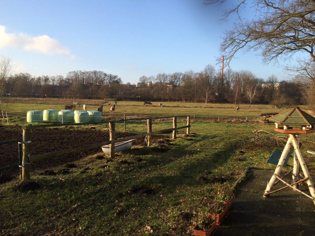 2014-01-01-14-09h-norderstedt-skila-009