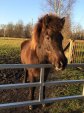 2014-01-01-14-18h-norderstedt-skila-028