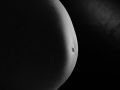 Babybauch  013